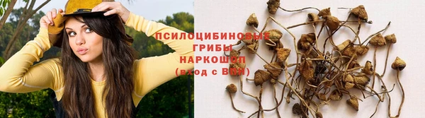 наркотики Ладушкин