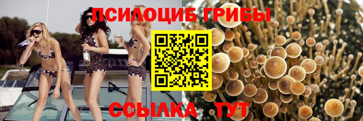 Старый Оскол  Галлюциногенные грибы MAGIC MUSHROOMS  закладки  Псилоцибиновые грибы ЛСД  Вход с VPN 